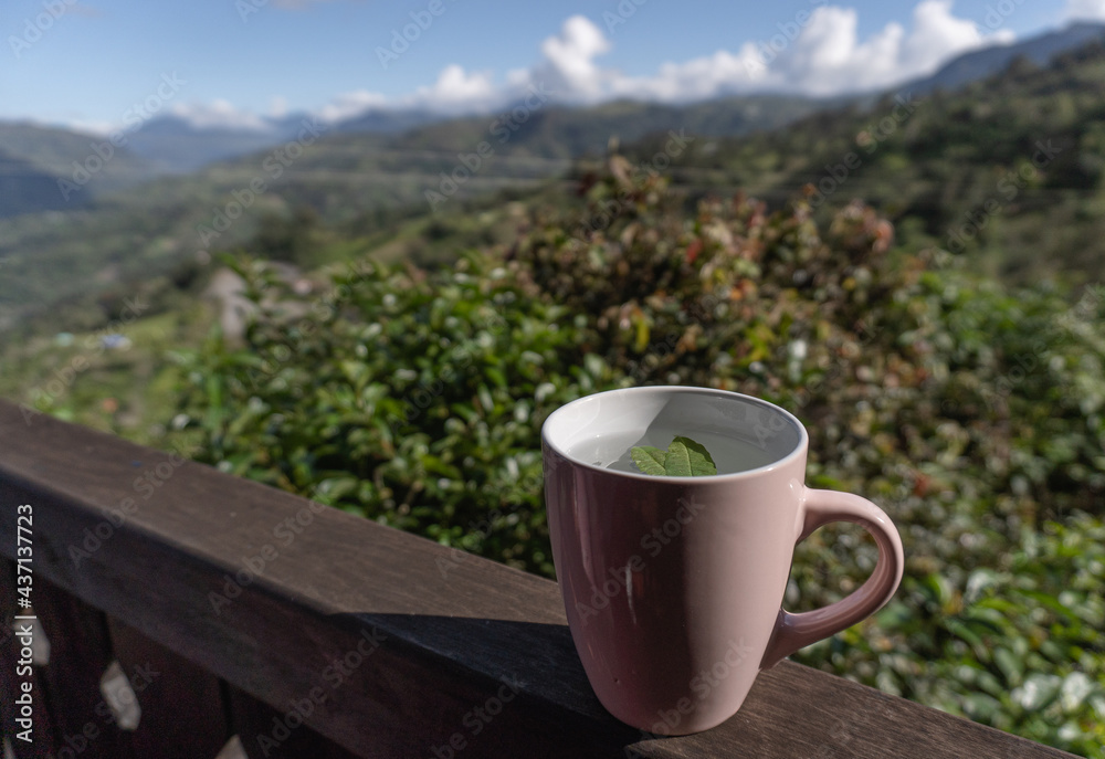 A cup of tea on a railing balcony with a beatiful and natural landscape view A cup of tea on a railing balcony with a beatiful and natural landscape view