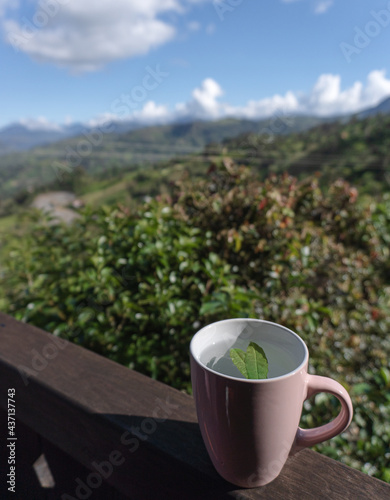 A cup of tea on a railing balcony with a beatiful and natural landscape view