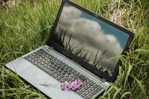 laptop outdoors on the grass with flower, remote location work concept, wifi connection in remote place