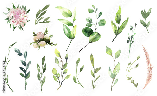 Watercolor floral illustration set - green eucalyptus leaf branches collection, for wedding invitation, greetings cards, wallpapers, background. Eucalyptus, green leaves. High quality illustration