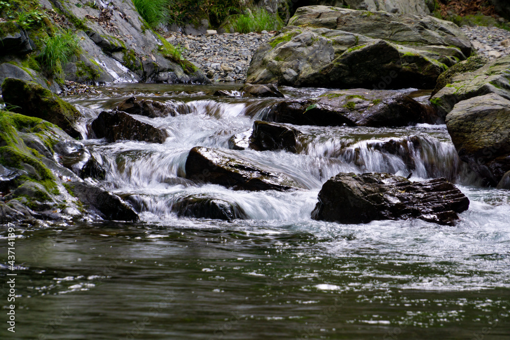 清流　川の流れ