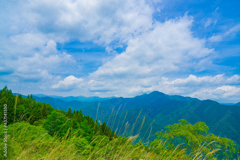 Obraz premium 新緑の風景 浅間嶺からの景色 春