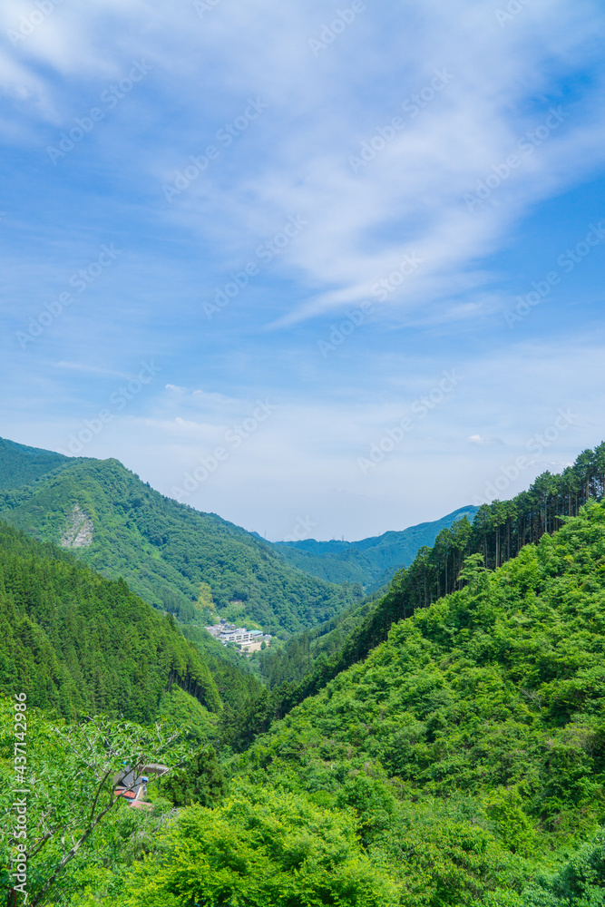 檜原村の風景　初夏