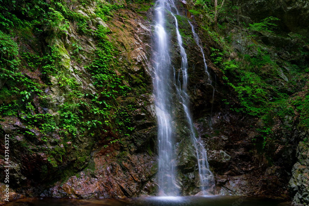 払沢の滝　自然　風景