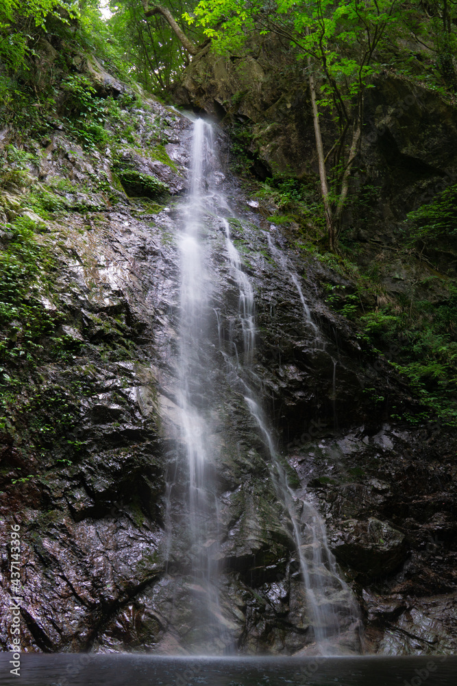 Obraz premium 払沢の滝