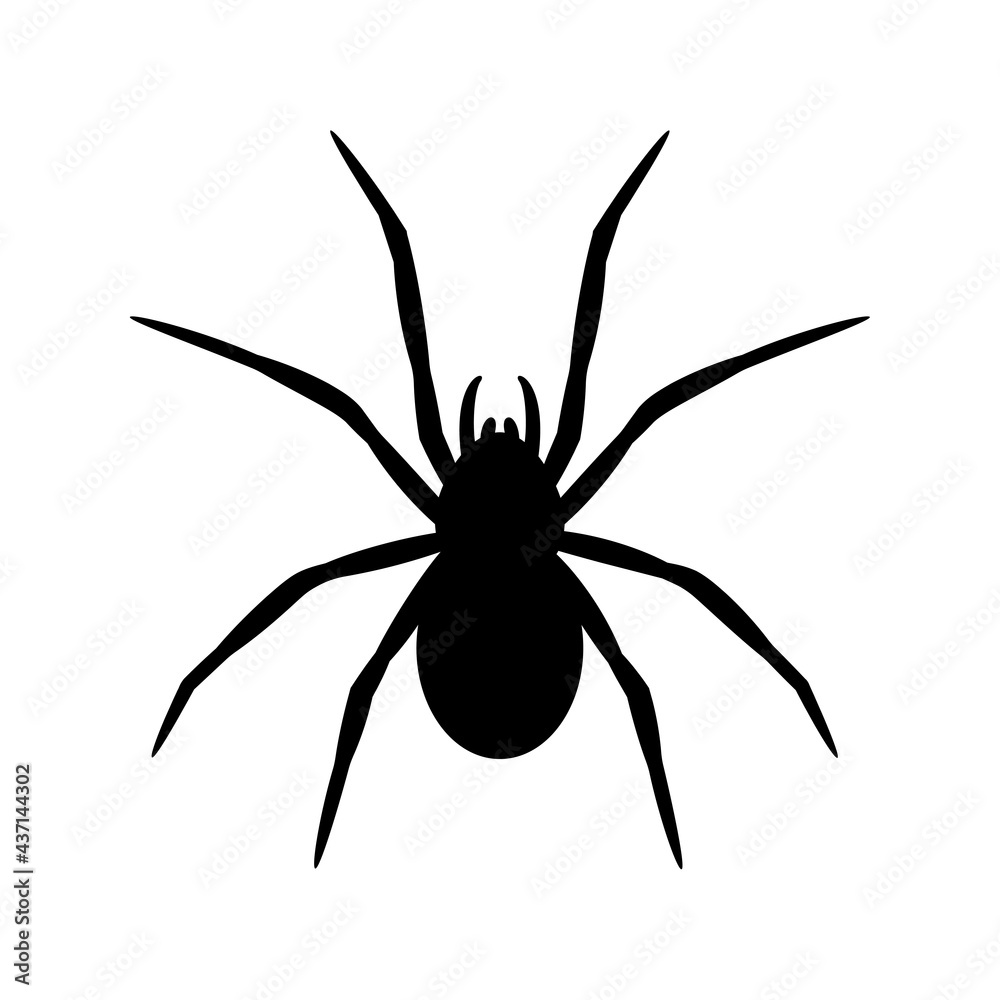 silhouette of a spider hanging from a web Abandoned House Horror Ideas for Halloween silhouette of a spider hanging from a web Abandoned House Horror Ideas for Halloween