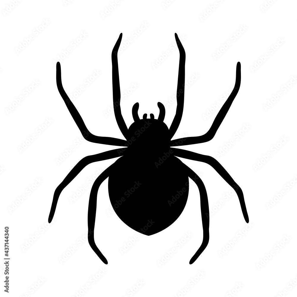 silhouette of a spider hanging from a web Abandoned House Horror Ideas for Halloween silhouette of a spider hanging from a web Abandoned House Horror Ideas for Halloween