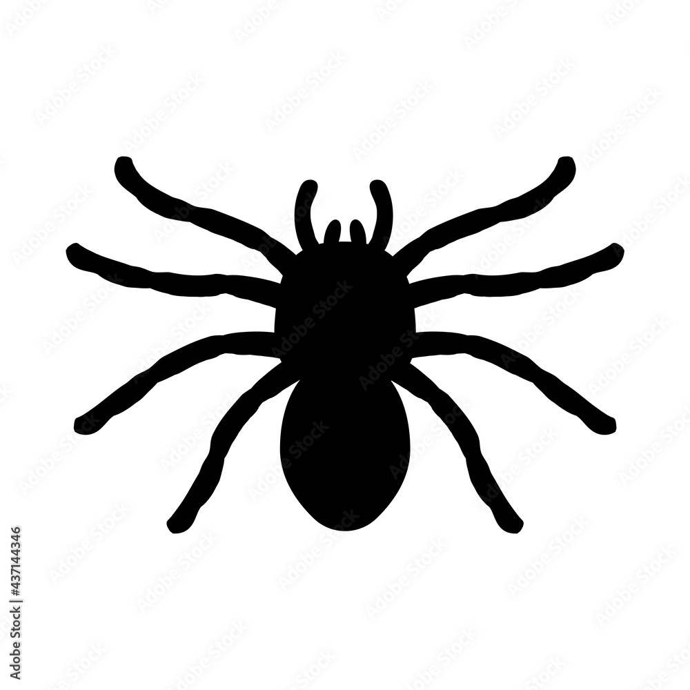 silhouette of a spider hanging from a web Abandoned House Horror Ideas for Halloween silhouette of a spider hanging from a web Abandoned House Horror Ideas for Halloween