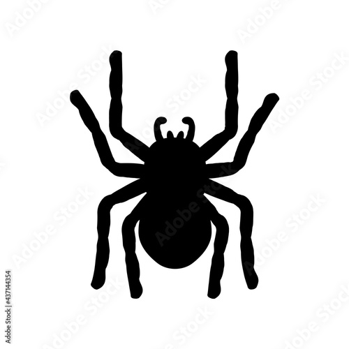 silhouette of a spider hanging from a web Abandoned House Horror Ideas for Halloween