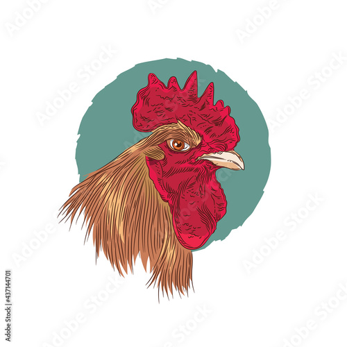 Rooster head vector illustration, perfect for farm logo and tshirt design