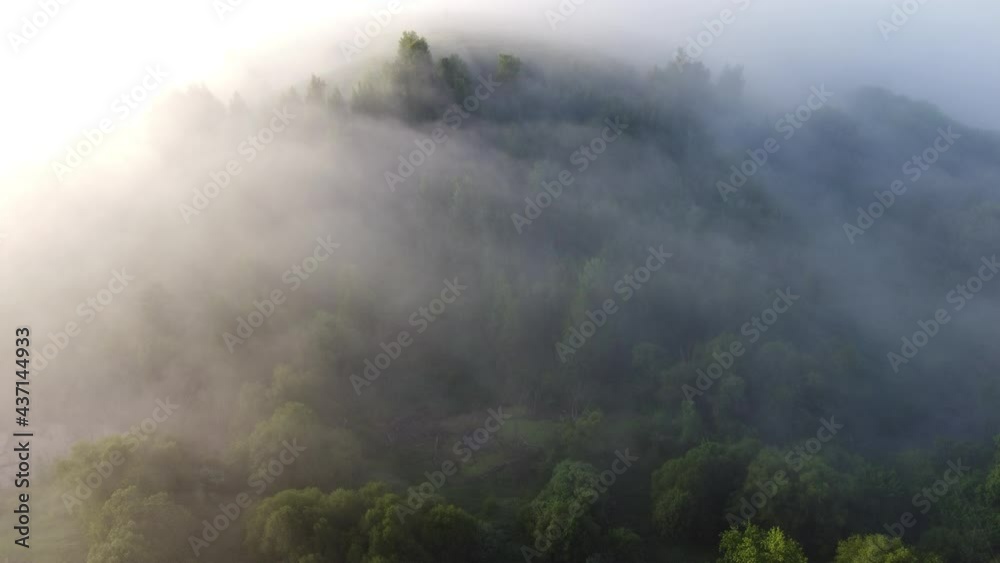 fog in the mountains fog in the mountains