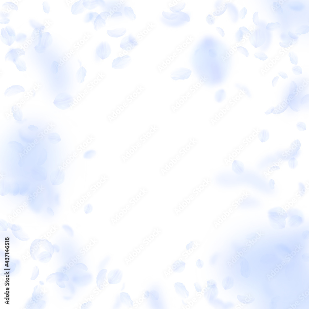 Light blue flower petals falling down. Unequaled r Light blue flower petals falling down. Unequaled r