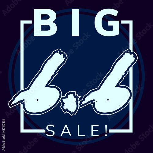 6.6 Sale Banner for your social media
