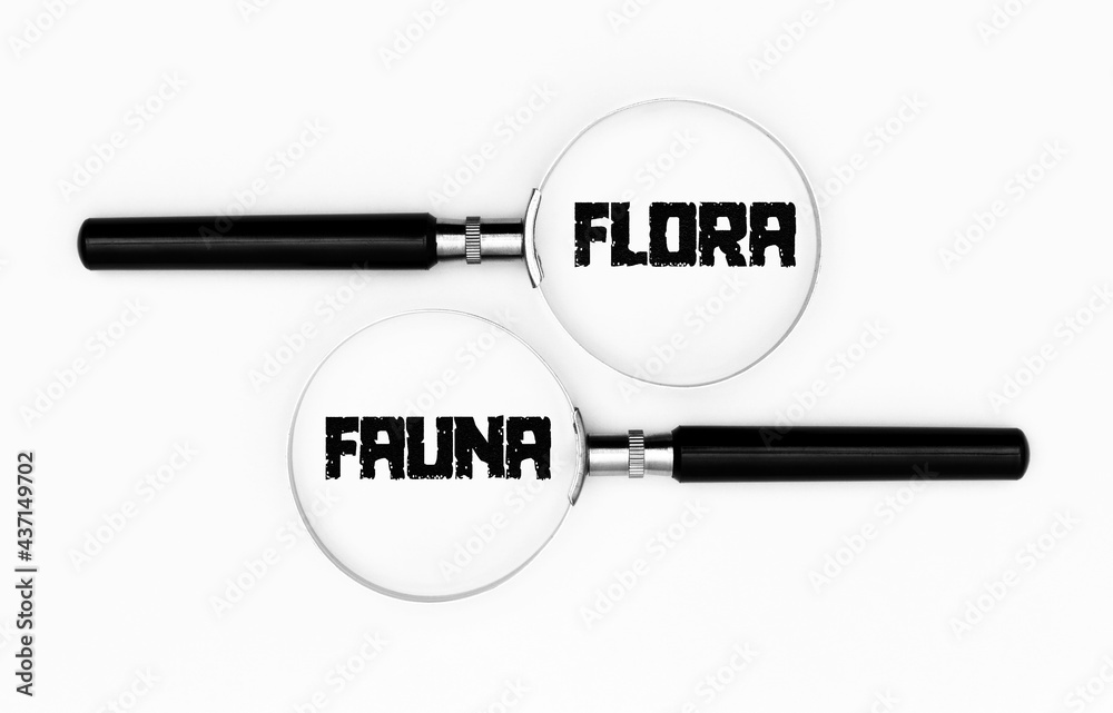 Flora und Fauna