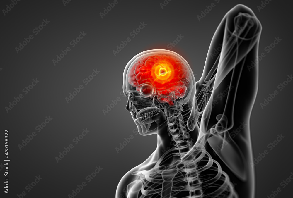 3d rendering illustration of brain 3d rendering illustration of brain
