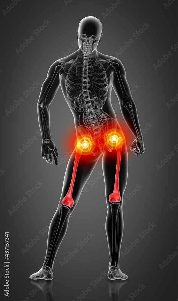 3d rendered illustration - femur bone - back view 3d rendered illustration - femur bone - back view