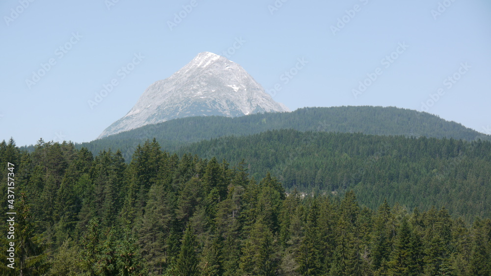 Forêt verdoyante et montagne en Autriche