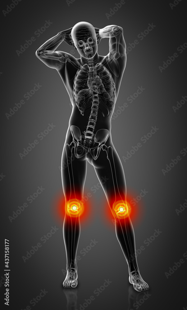3d rendering illustration of Human in x-ray view 3d rendering illustration of Human in x-ray view