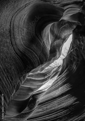 texture of rocks in the canyon, black and white photograph
