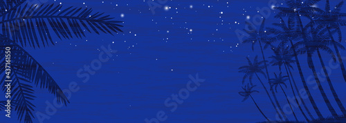 南の島の椰子の木と星空