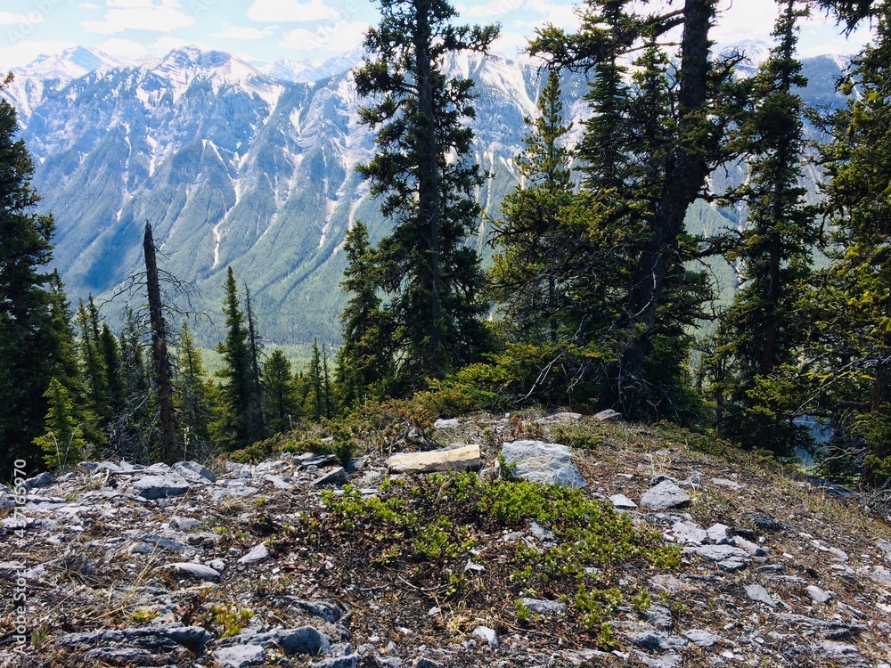 Mount Rundle spine spectacular unspoiled scenery Mount Rundle spine spectacular unspoiled scenery