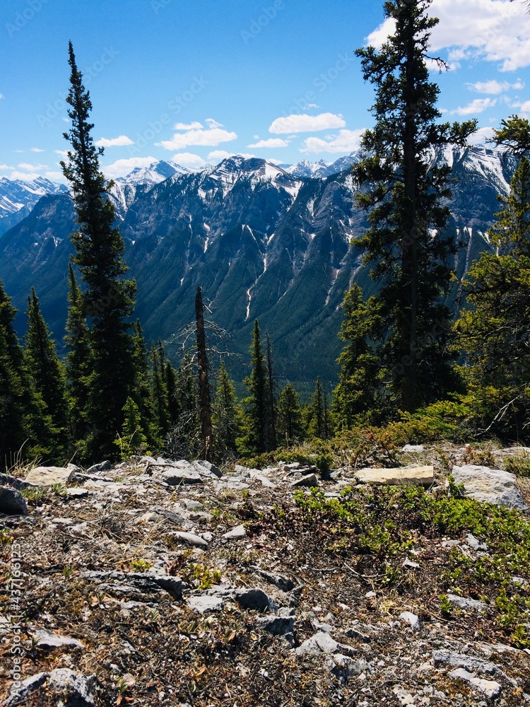 Mount Rundle spine spectacular unspoiled scenery Mount Rundle spine spectacular unspoiled scenery