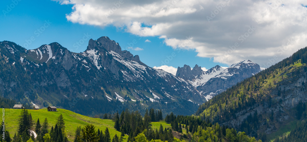 swiss panorama of the mountains