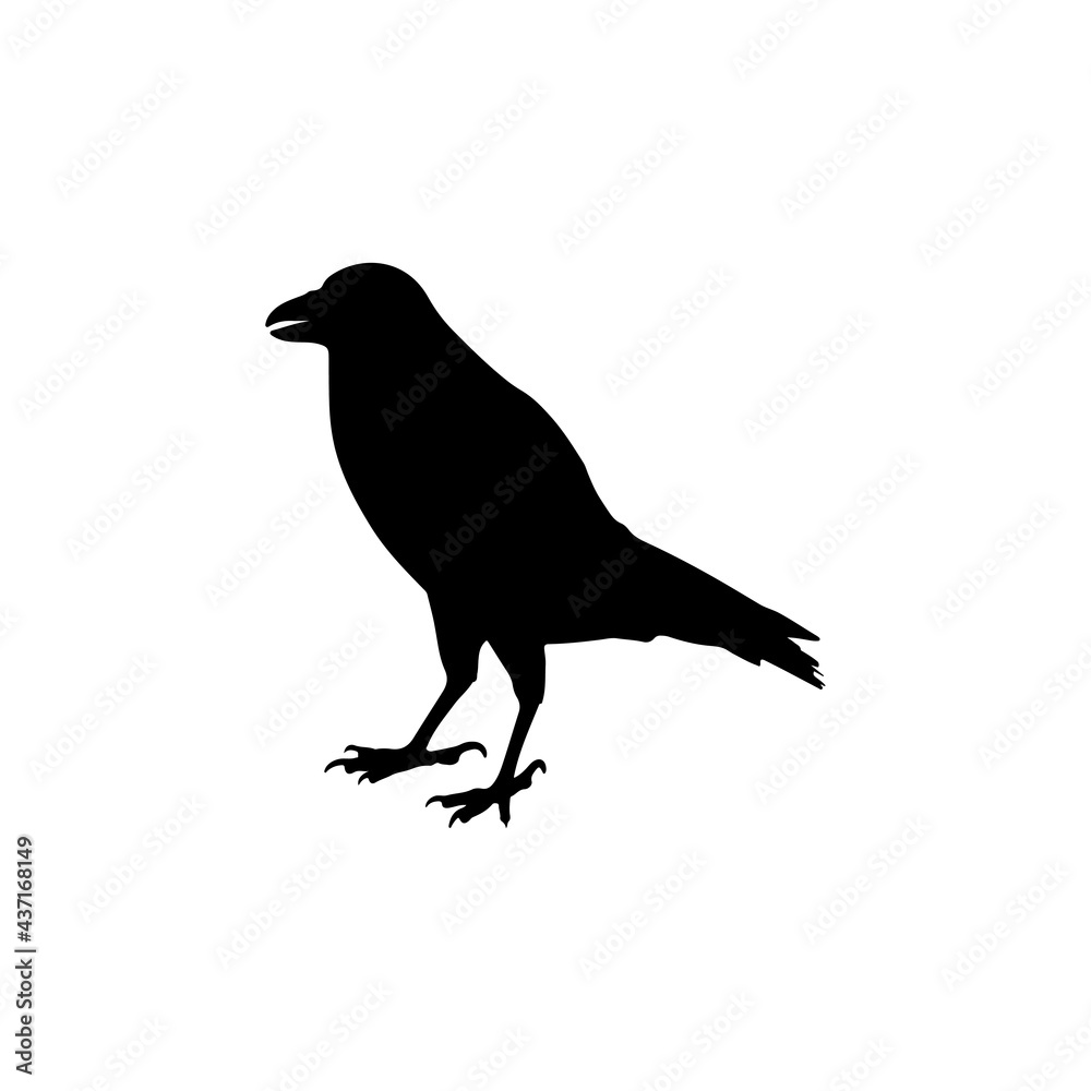 Obraz premium vector black silhouette of crow on the white background, silhouette of crows