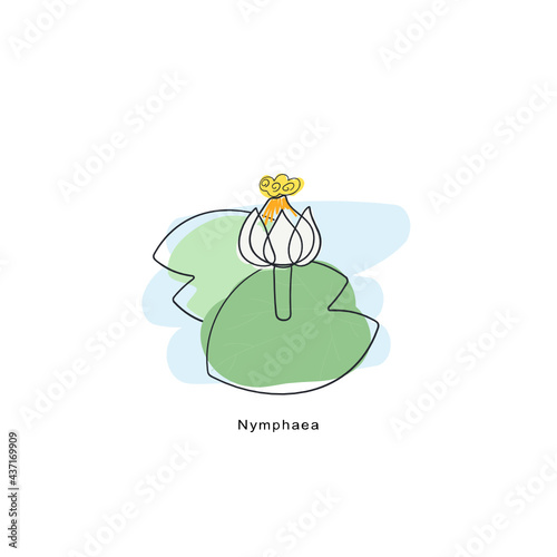 Nymphaea Flower Drawing Vector Illustration