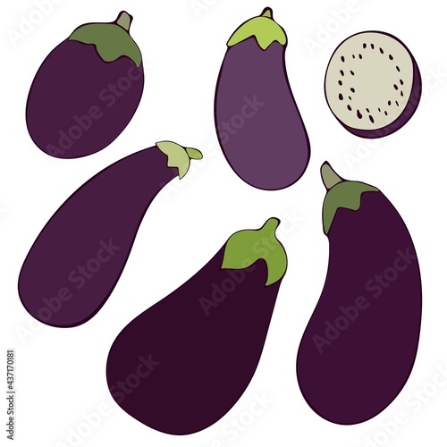 Set of flat vector illustrations of fresh eggplants. Image of vegetables, summer season. Drawn by hands. Isolated over white background. photo