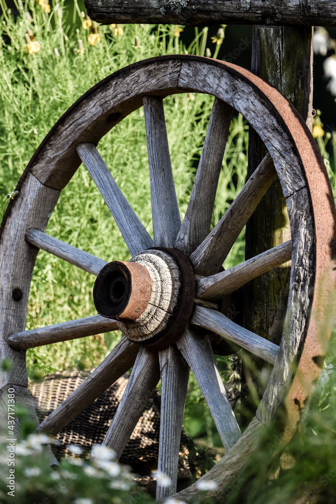 old wagon wheel