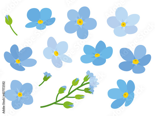 青色の勿忘草の花