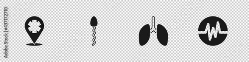 Set Location with cross hospital, Sperm, Lungs and Heart rate icon. Vector