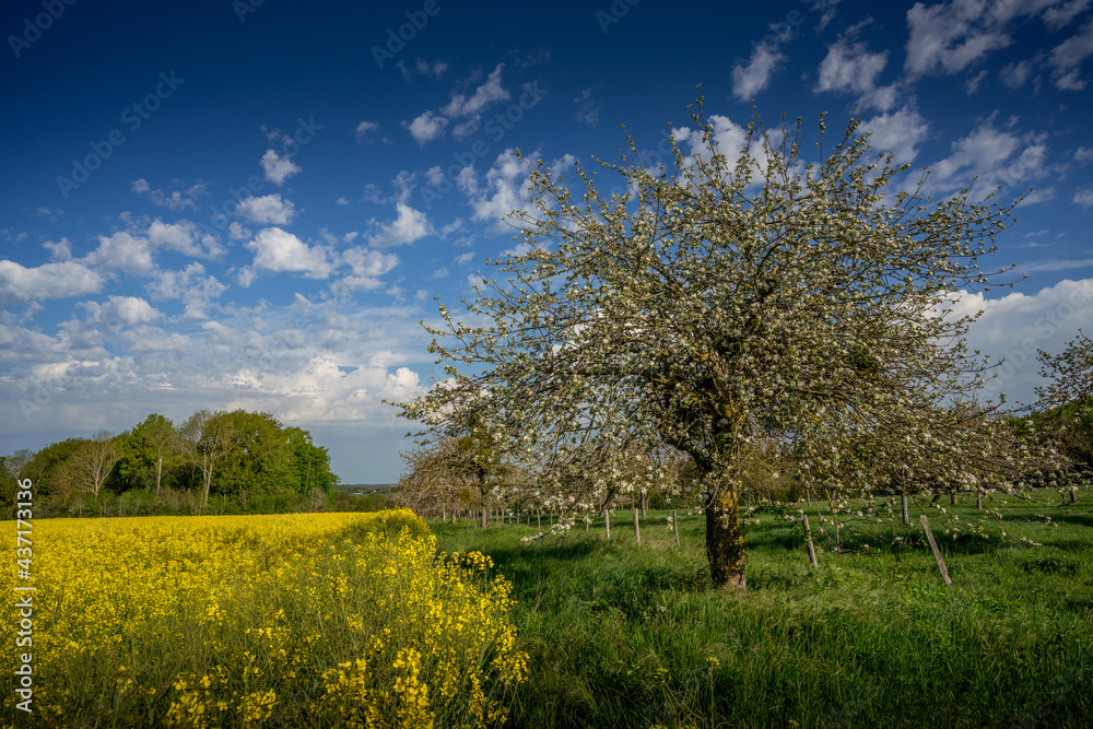 Paysage campagne 897