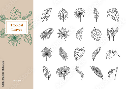 Set of exotic tropical leaves. photo