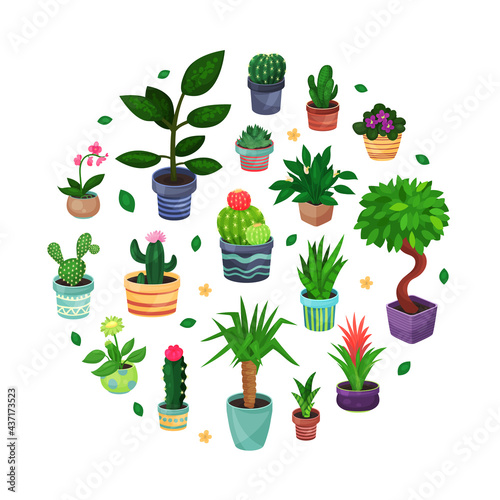 Houseplant in Ceramic Pots Growing Indoors Arranged in Circle Vector Template