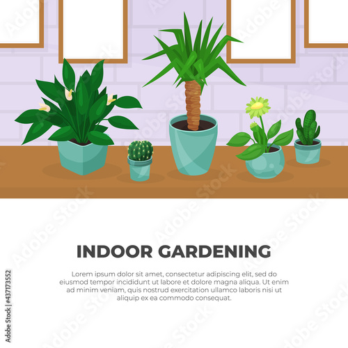 Houseplant in Ceramic Pots Growing Indoors Vector Design Template