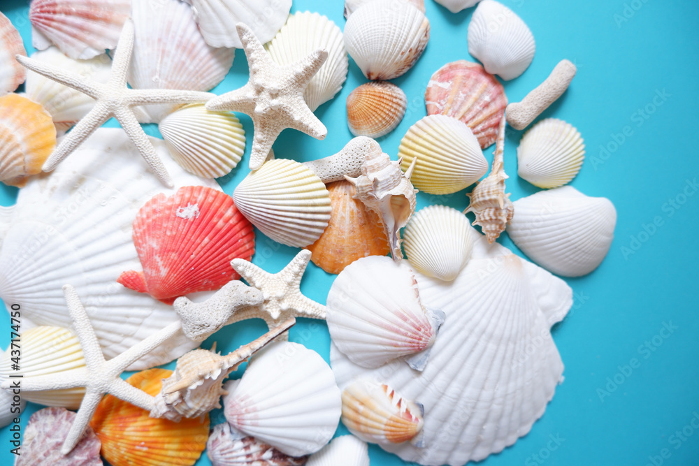 Fototapeta premium Summer greeting concept. seashells on blue background. Colorful seashells composition background for summer greeting card, event, banner, frame design. 