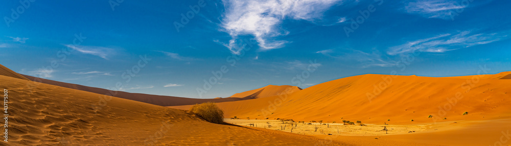 Panorama view to Deadvlei with the trees, landscape with large sand dunes at Sossusvlei