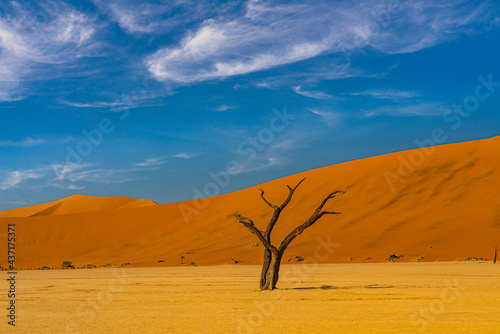 View of a dead camel thorn trees from Deadvlei, landscape with large sand dunes at Sossusvlei © ggfoto