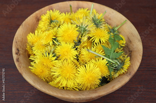 Dandelion flowers in a wooden bowl . Spring or herbalism concept photo