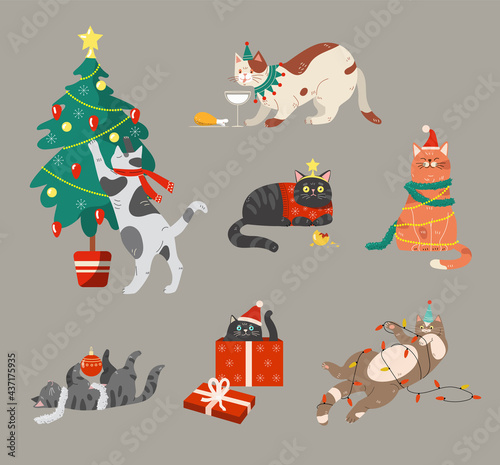 Cats celebrating winter holiday