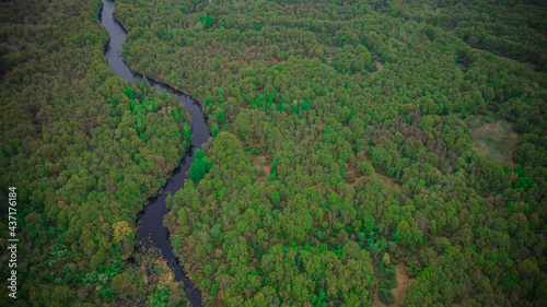 wildlife landscape in a forest area aerial photos