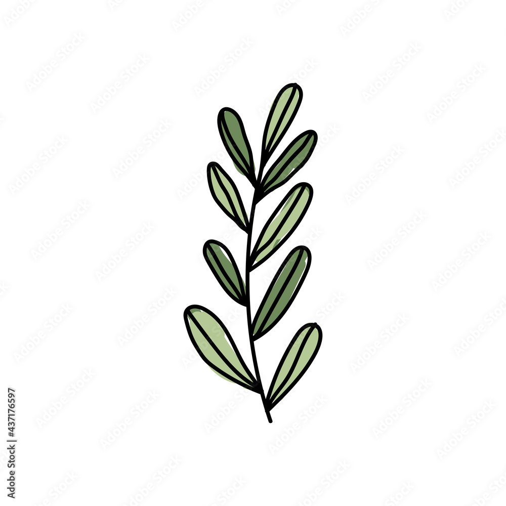 Obraz premium Vector illustration of leaves with outline. Hand drawn leaf logo symbol.