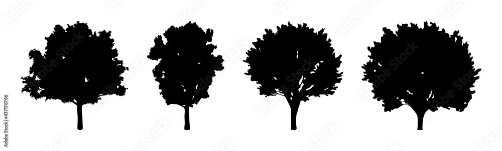 set of Tree silhouette on white background set of Tree silhouette on white background