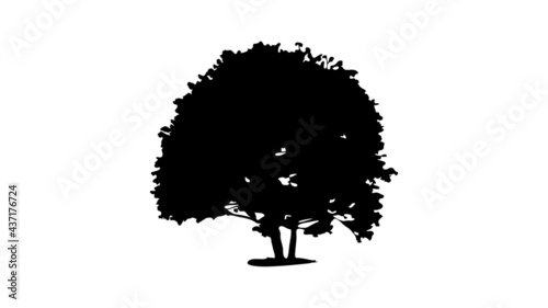 Fototapeta Naklejka Na Ścianę i Meble -  Tree silhouette on white background