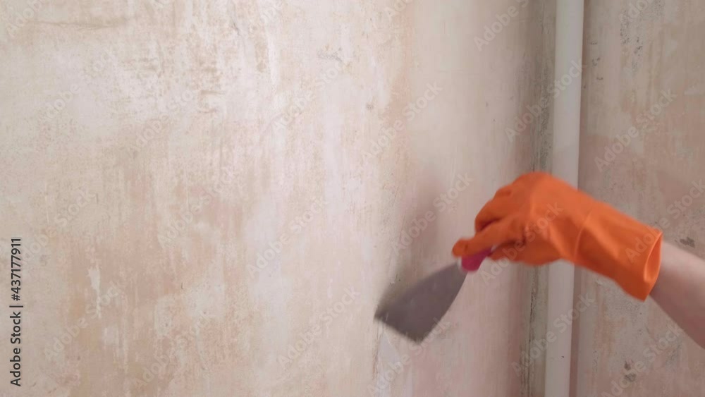 Woman removing old wallpaper from walls preparing for flat renovation. A female hand strips wallpaper from the wall of a room. Room renovations at house. Interior design and home renovation concept Woman removing old wallpaper from walls preparing for flat renovation. A female hand strips wallpaper from the wall of a room. Room renovations at house. Interior design and home renovation concept