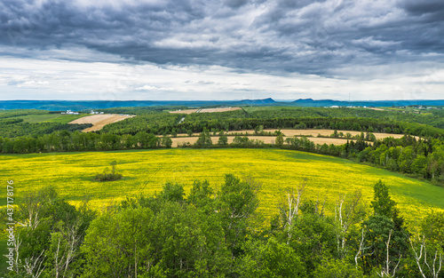 View on the countryside and the yellow dandelions from the "Coeur des Plateaux" belvedere, a unique structure built in the Matapedia river Valley in Quebec, Canada
