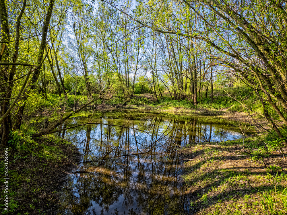 Obraz premium A muddy pool of water near the river Ijssel