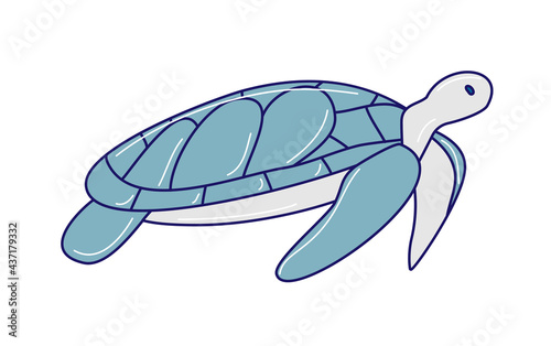 Hand drawn graphic sea turtle,vector of turtle design on a white background